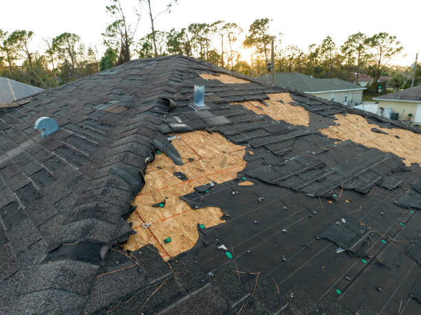 Skylights in Pine Crest, TN