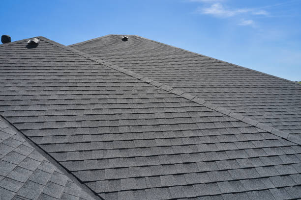 Best Solar Panel Roofing Installation  in Pine Crest, TN